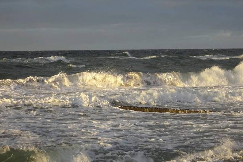 Foto von Ferienhaus RK22 in Udsholt - Rågeleje - Nordseeland