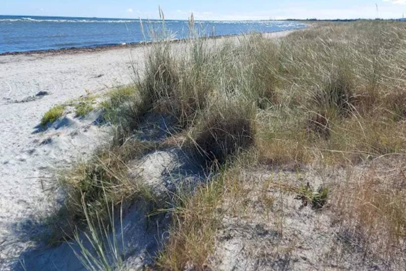 Foto von Ferienhaus RK28 in Bratten - Nordjütland Ost