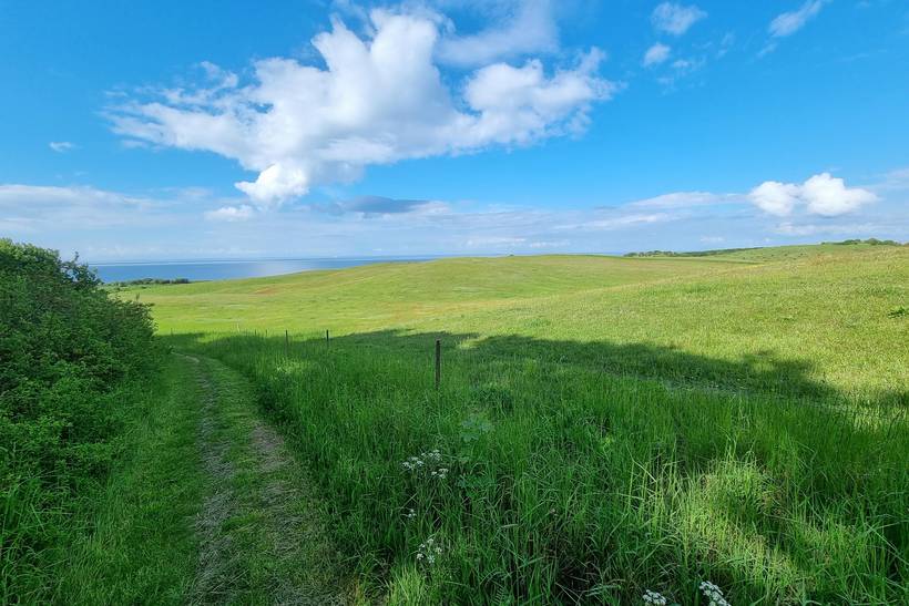Foto von Ferienhaus RK89 in Røsnæs - Westseeland