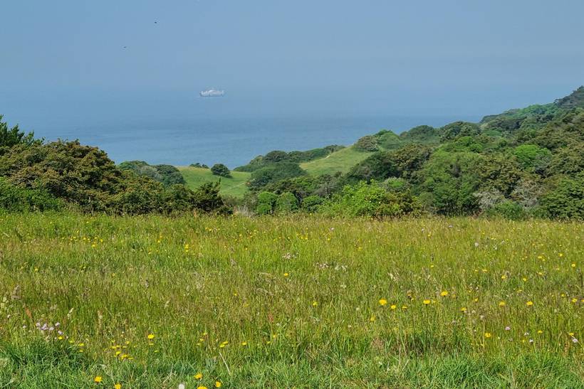Foto von Ferienhaus RK89 in Røsnæs - Westseeland