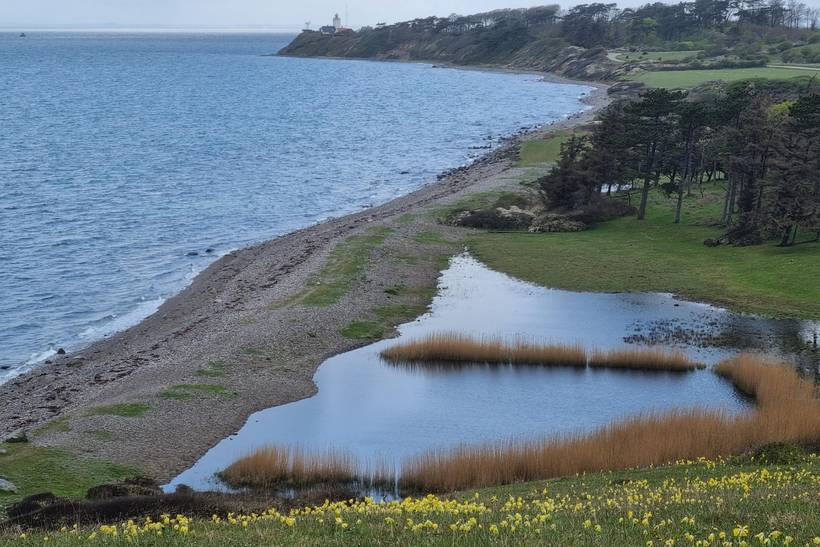 Foto von Ferienhaus RK89 in Røsnæs - Westseeland