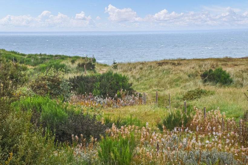 Foto von Ferienhaus RL30 in Hanstholm - Thy/Limfjord