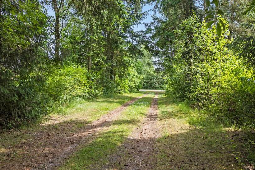 Foto von Ferienhaus RL31 in Hjarbæk - Thy/Limfjord