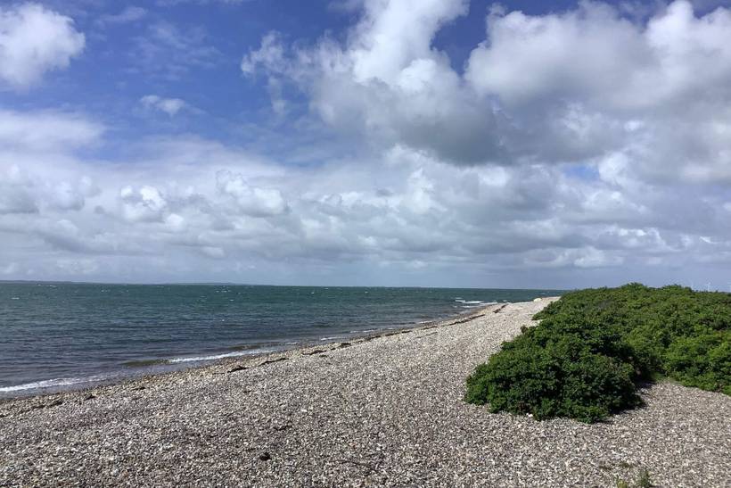 Foto von Ferienhaus RL90 in Helligsø - Thy/Limfjord