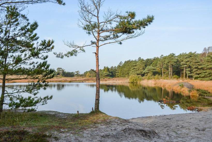 Foto von Ferienhaus RM28 in Kongsmark - Rømø
