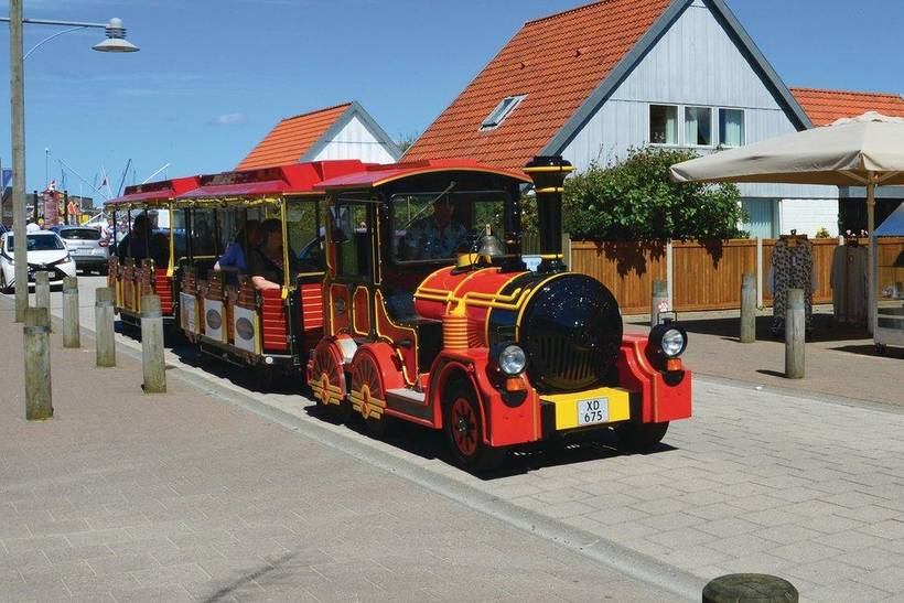 Foto von Ferienhaus RM29 in Søndervig - Westjütland