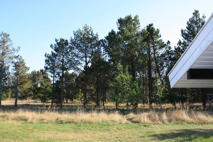 Foto von Ferienhaus RN30 in Ålbæk - Nordjütland Ost