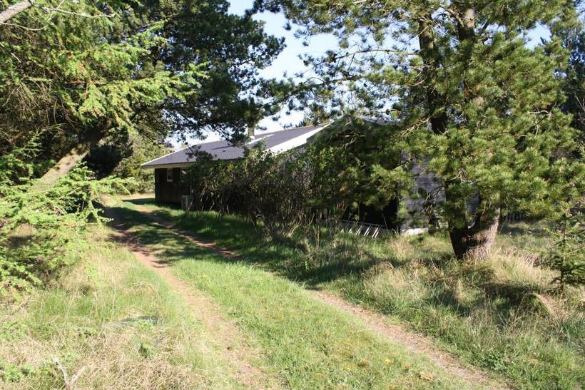 Foto von Ferienhaus RN30 in Ålbæk - Nordjütland Ost