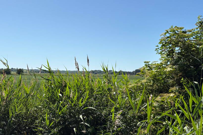 Foto von Ferienhaus RN50 in Klint - Westseeland