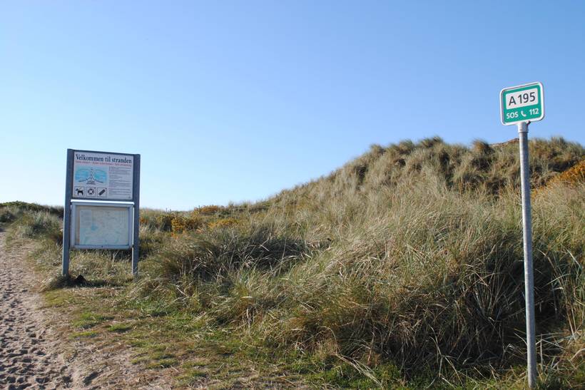 Foto von Ferienhaus RN96 in Lønne - Houstrup - Westjütland