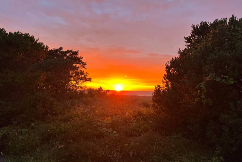 Foto von Ferienhaus RN99 in Sjællands Odde - Westseeland