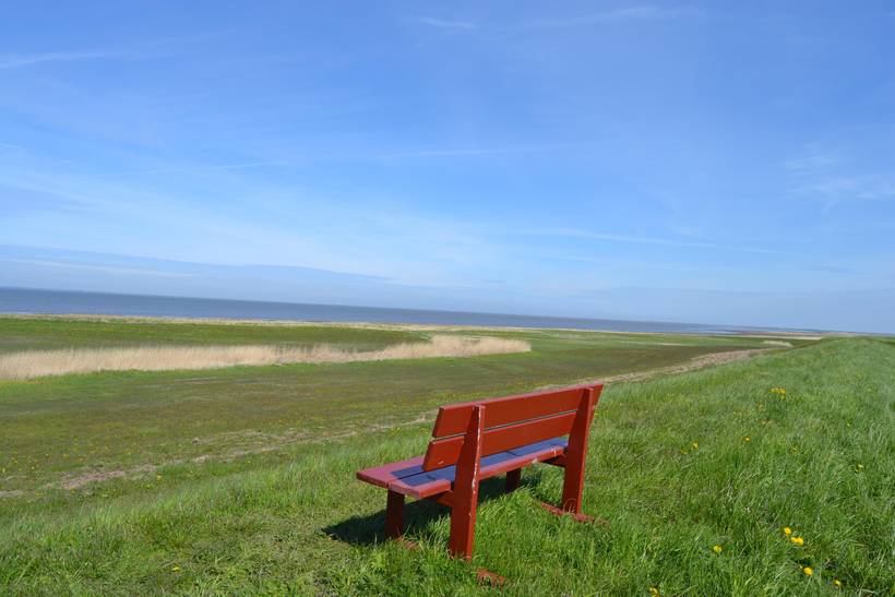 Foto von Ferienhaus RO15 in Ballum - Südjütland