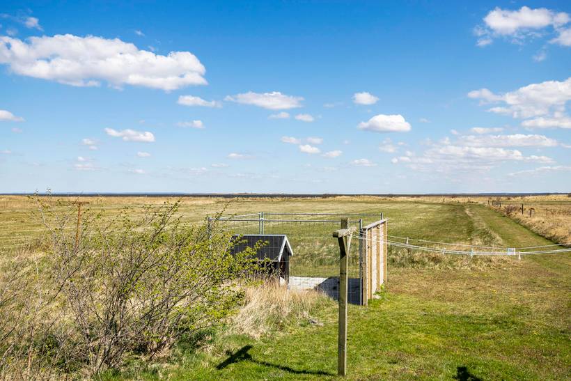 Foto von Ferienhaus RO62 in Bjerregård - Westjütland