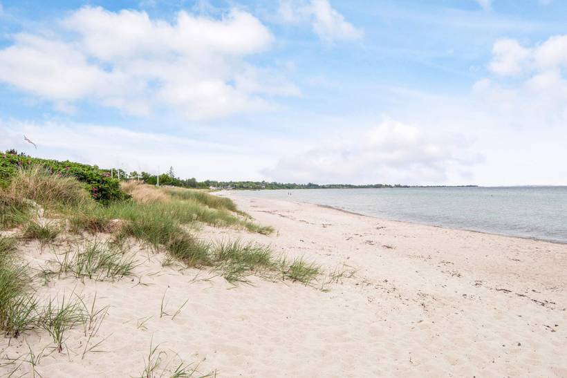 Foto von Ferienhaus RP08 in Saksild - Odder - Ostjütland