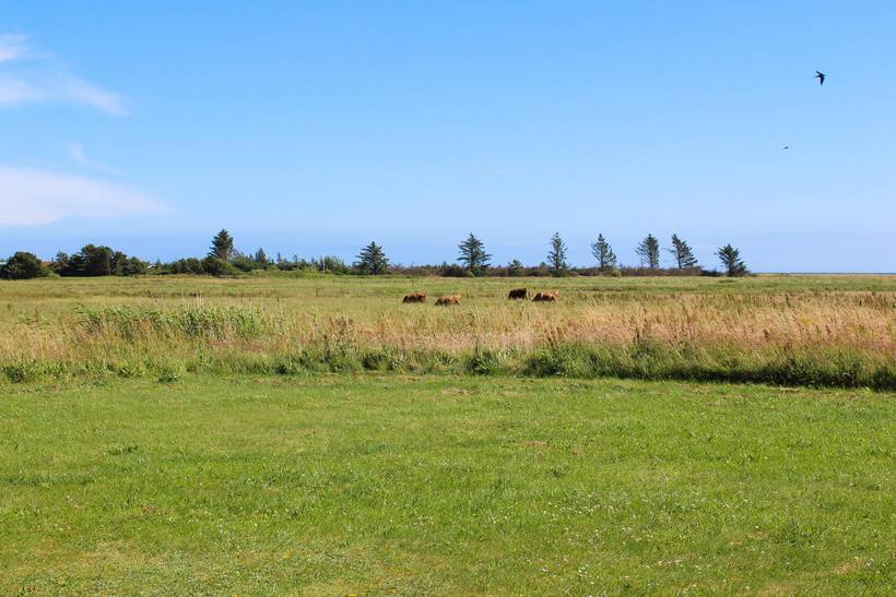 Foto von Ferienhaus RP25 in Lyngså - Nordjütland Ost
