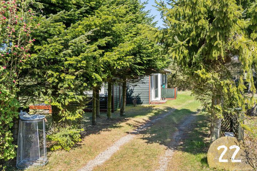 Foto von Ferienhaus RP28 in Trend - Thy/Limfjord