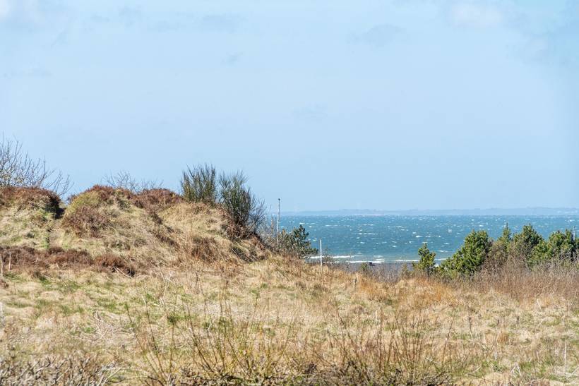 Foto von Ferienhaus RP28 in Trend - Thy/Limfjord