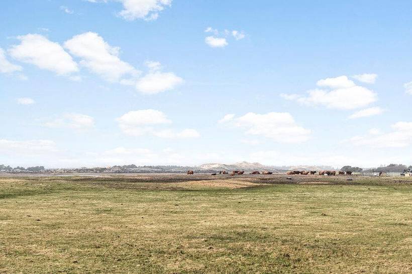Foto von Ferienhaus RP31 in Sønderho - Fanø