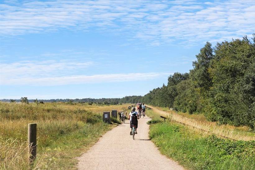 Foto von Ferienhaus RP54 in Marielyst - Falster