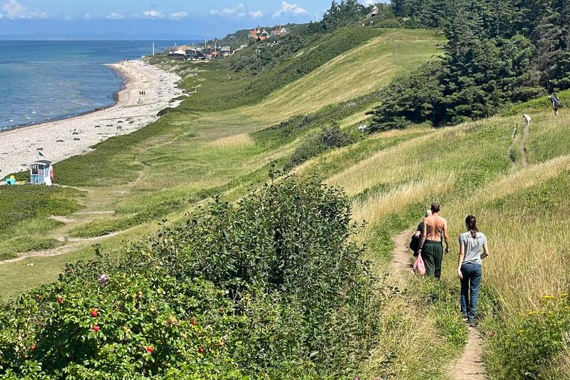 Foto von Ferienhaus RQ49 in Rågeleje - Nordseeland