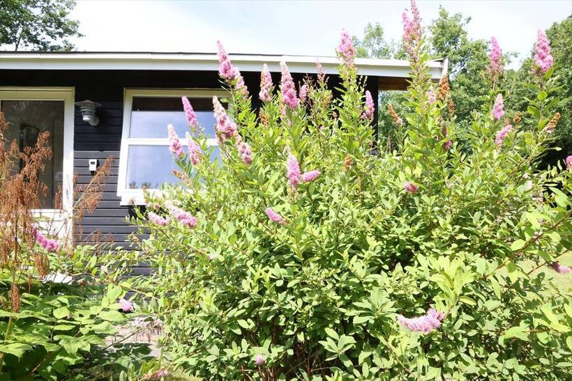Foto von Ferienhaus RR02 in Klint - Westseeland