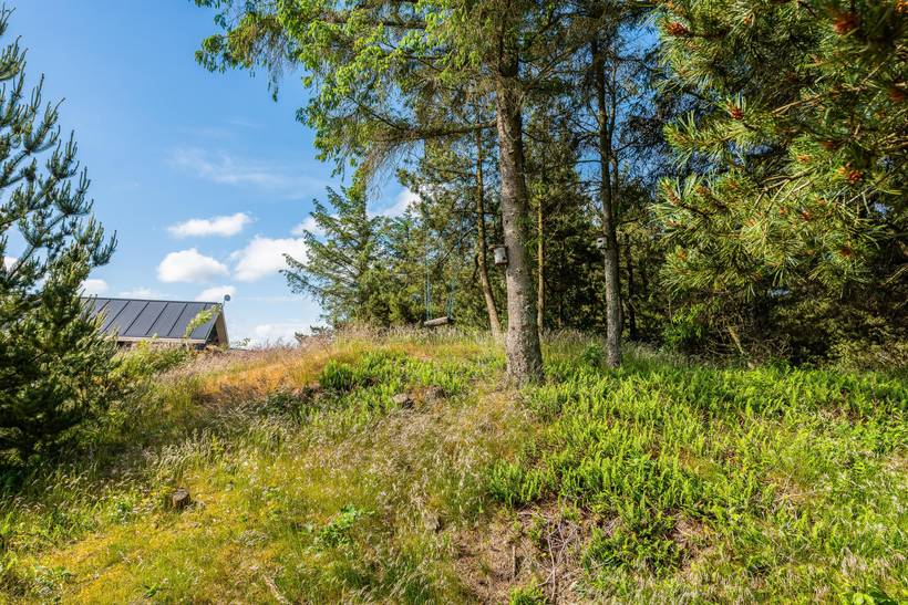 Foto von Ferienhaus RR47 in Nymindegab - Bjerregård - Westjütland