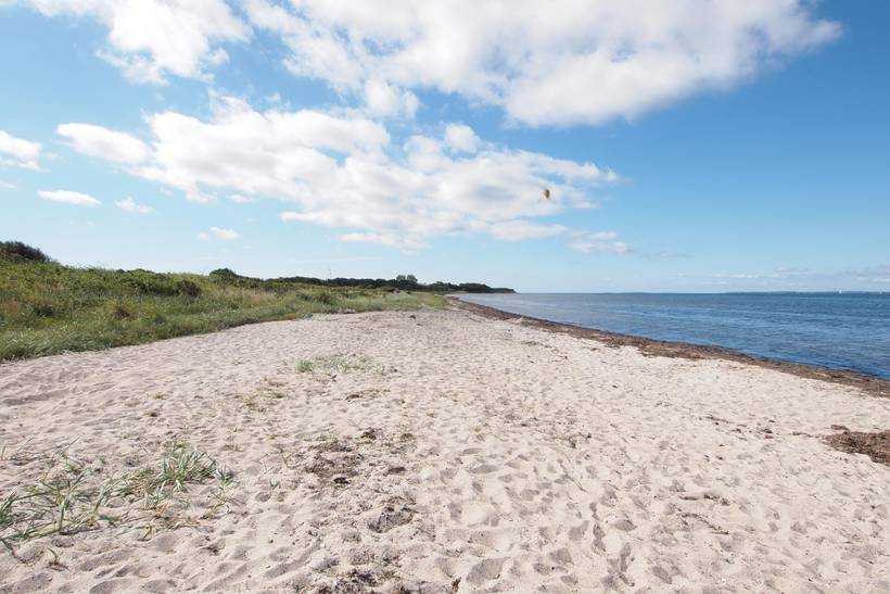 Foto von Ferienhaus RS16 in Lohals - Langeland