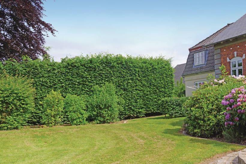 Foto von Ferienhaus RS70 auf Middelfart - Südfünen
