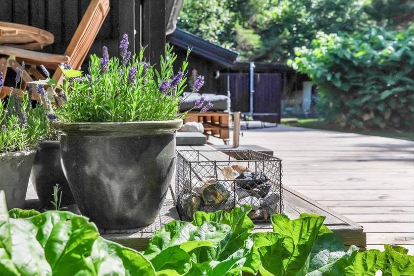 Foto von Ferienhaus RS79 in Sejerø Bugt - Westseeland