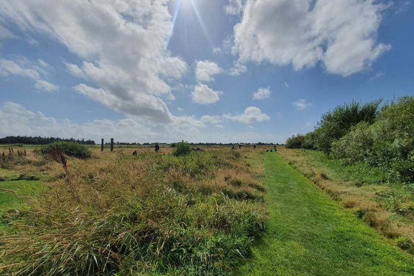 Foto von Ferienhaus RT35 in Vrist - Vejlby Klit - Westjütland