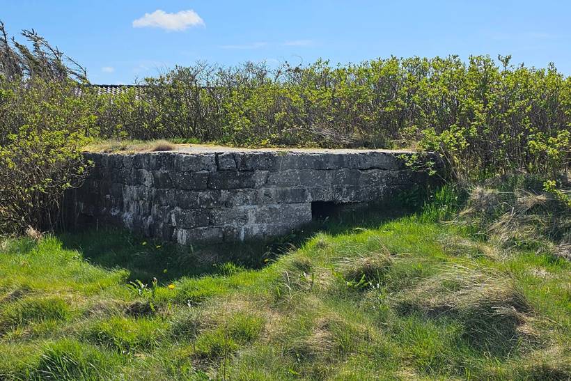 Foto von Ferienhaus RT35 in Vrist - Vejlby Klit - Westjütland