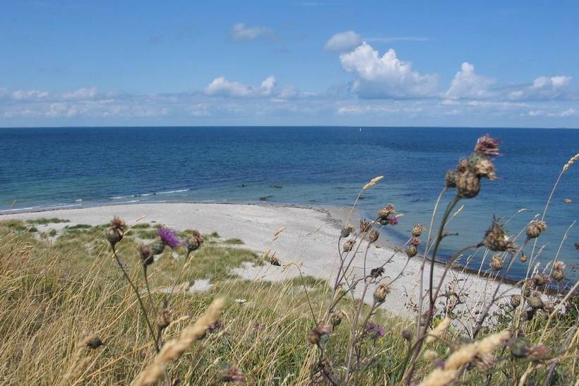 Foto von Ferienhaus RT64 in Sejerø Bugt - Westseeland