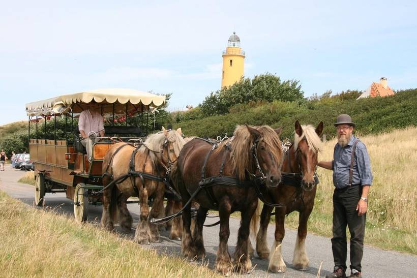 Foto von Ferienhaus RT64 in Sejerø Bugt - Westseeland