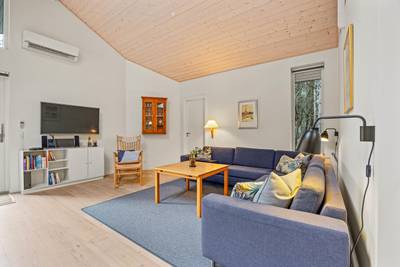 Vorschaubild von Ferienhaus RT74 in Ho - Blåvand - Westjütland