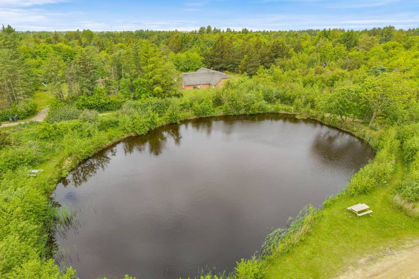 Foto von Ferienhaus RT78 in Lodbjerg Hede - Søndervig - Westjütland