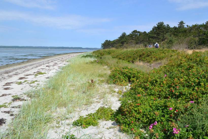 Foto von Ferienhaus RT95 in Fuglslev - Ebeltoft - Ostjütland