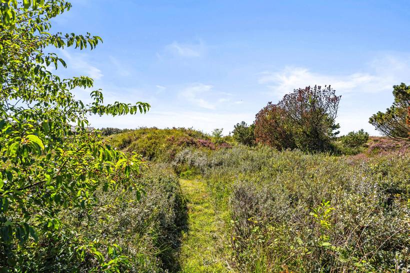 Foto von Ferienhaus RU31 in Bolilmark - Rømø