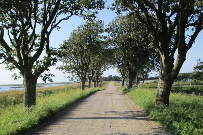 Foto von Ferienhaus RU88 in Vrist - Vejlby Klit - Westjütland