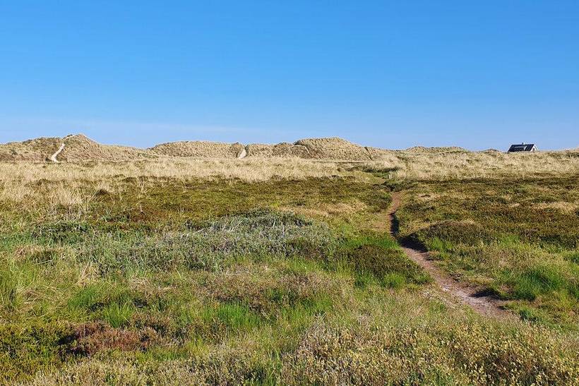 Foto von Ferienhaus RV72 in Skagen - Nordjütland