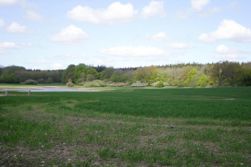 Foto von Ferienhaus RV83 in Aabenraa - Südjütland
