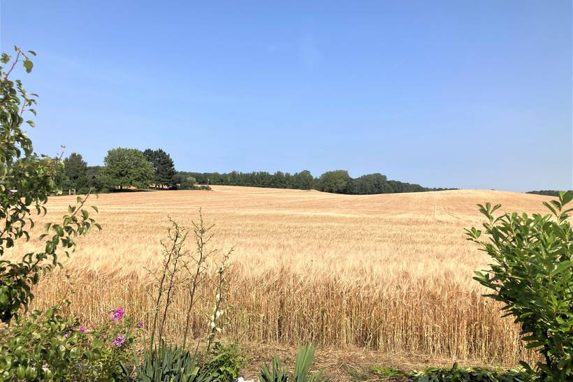 Foto von Ferienhaus RW12 in Skåstrup - Nordfünen