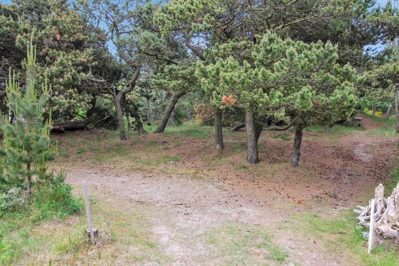 Foto von Ferienhaus RW28 in Vejers Strand - Westjütland