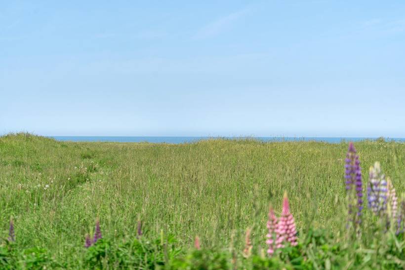 Foto von Ferienhaus RW88 in Lønstrup - Nordjütland