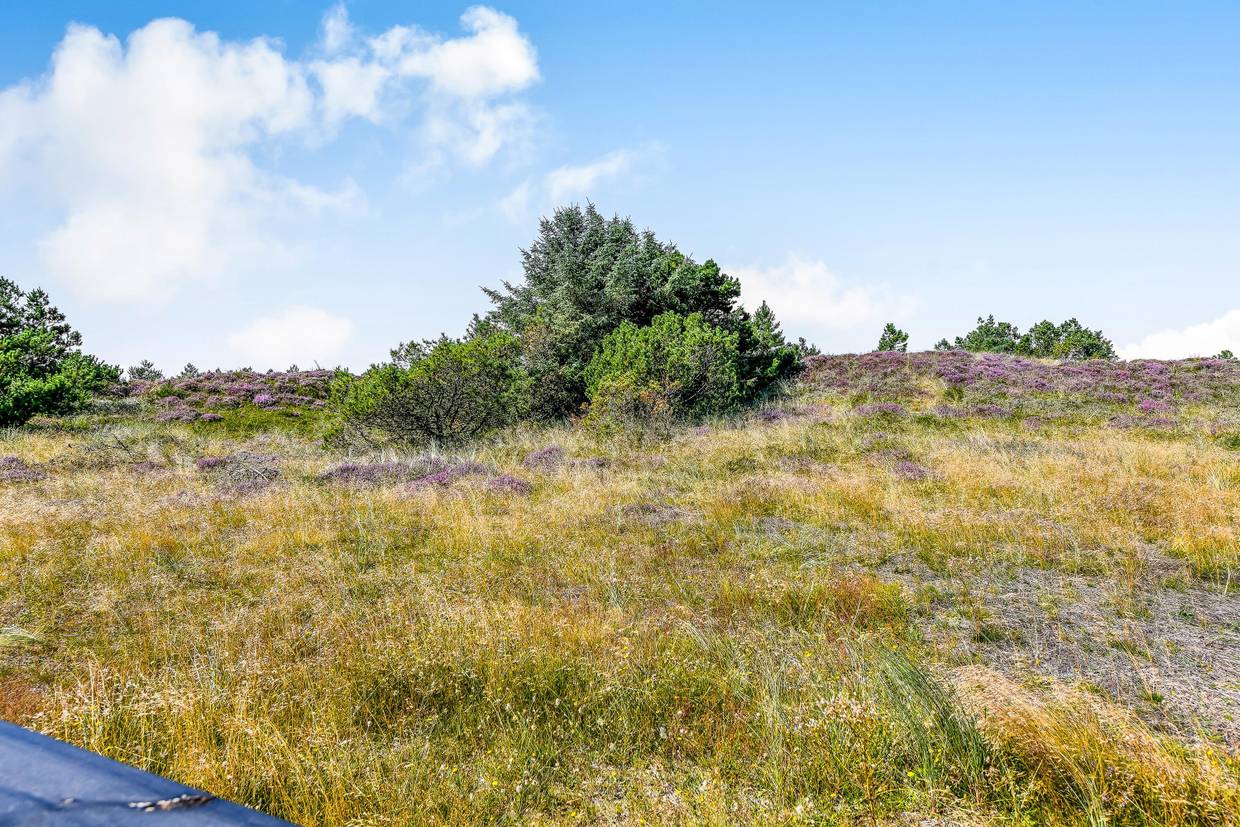 Foto von Ferienhaus RX28 in Blåvand - Westjütland
