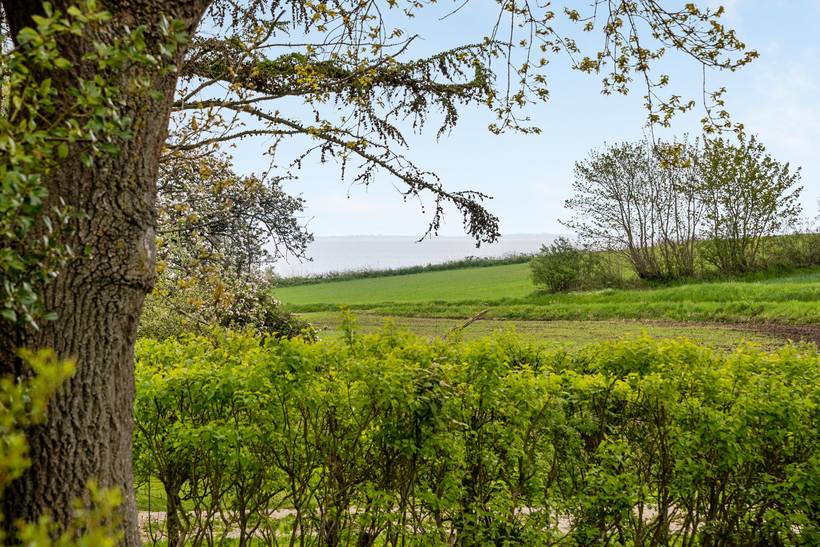 Foto von Ferienhaus RX48 auf Nr. Kettingskov - Als