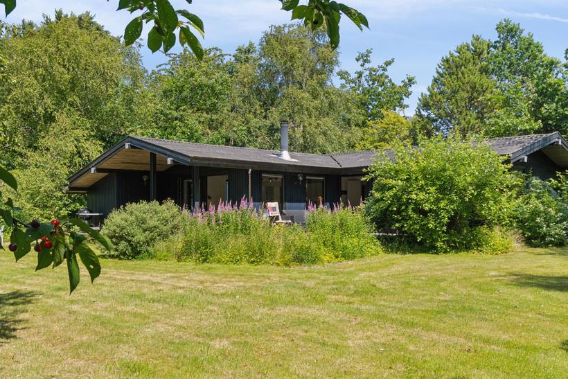 Foto von Ferienhaus RZ29 in Udsholt - Rågeleje - Nordseeland