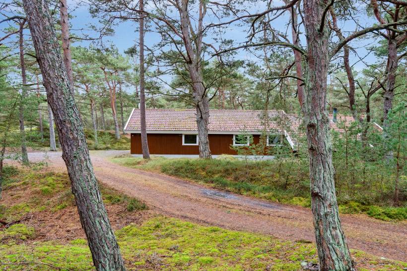 Foto von Ferienhaus RZ34 in Dueodde - Bornholm