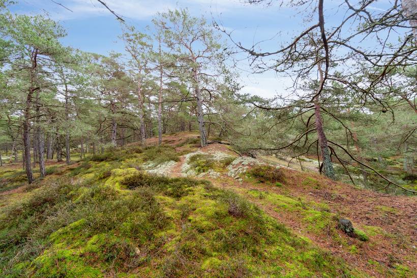 Foto von Ferienhaus RZ34 in Dueodde - Bornholm