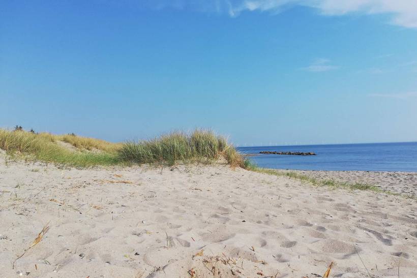 Foto von Ferienhaus SC56 in Hyldtofte - Lolland