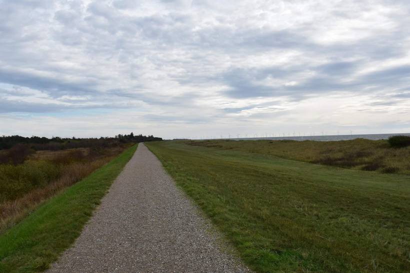 Foto von Ferienhaus SC56 in Hyldtofte - Lolland